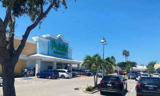 Publix supermarket with palm trees in parking lot and large tree in foreground.