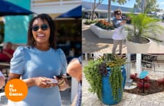 Thumbnail for Blog Marco Town Center is Blooming