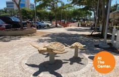 Thumbnail for Blog Sea Turtle Sculpture at Marco Town Center