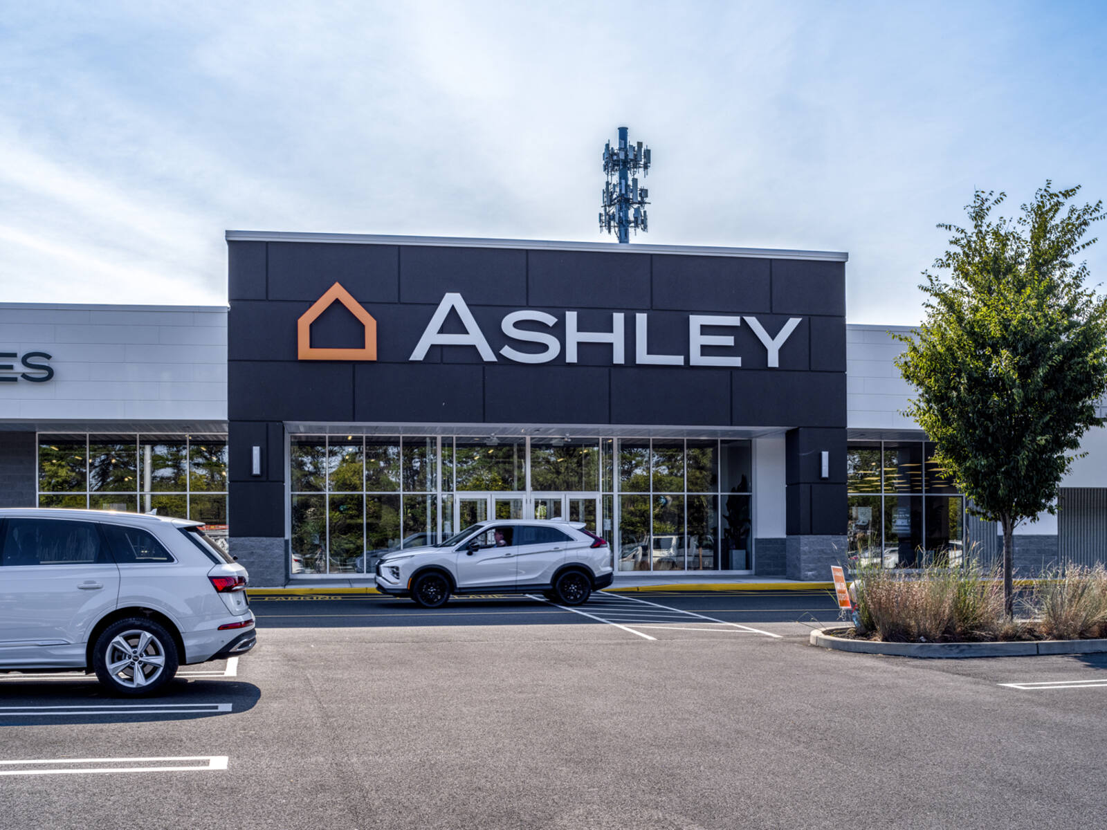 Ashley store with white SUVs in parking area and tree on the right.