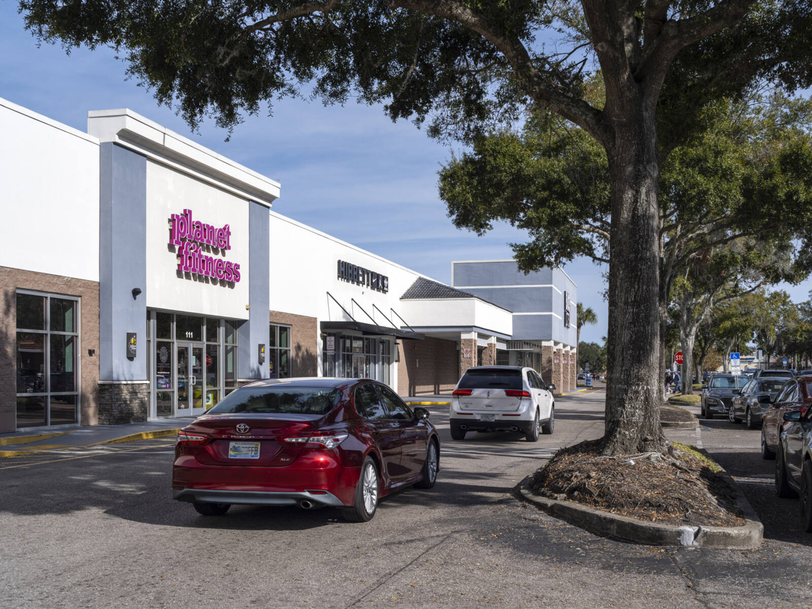 Red car and white SUV driving past Planet Fitness with tree in foreground.