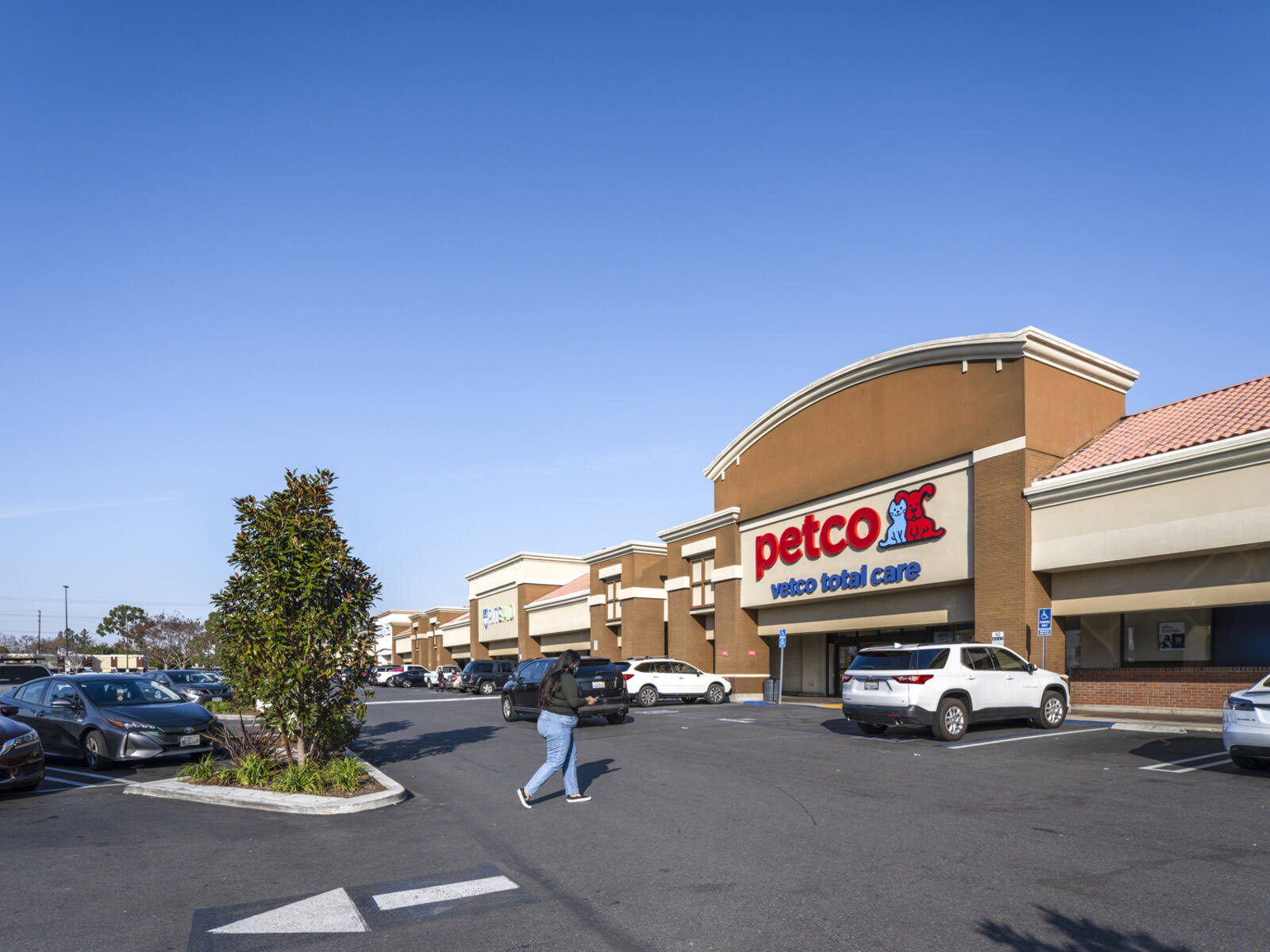 Woman crossing busy road to enter Petco store.