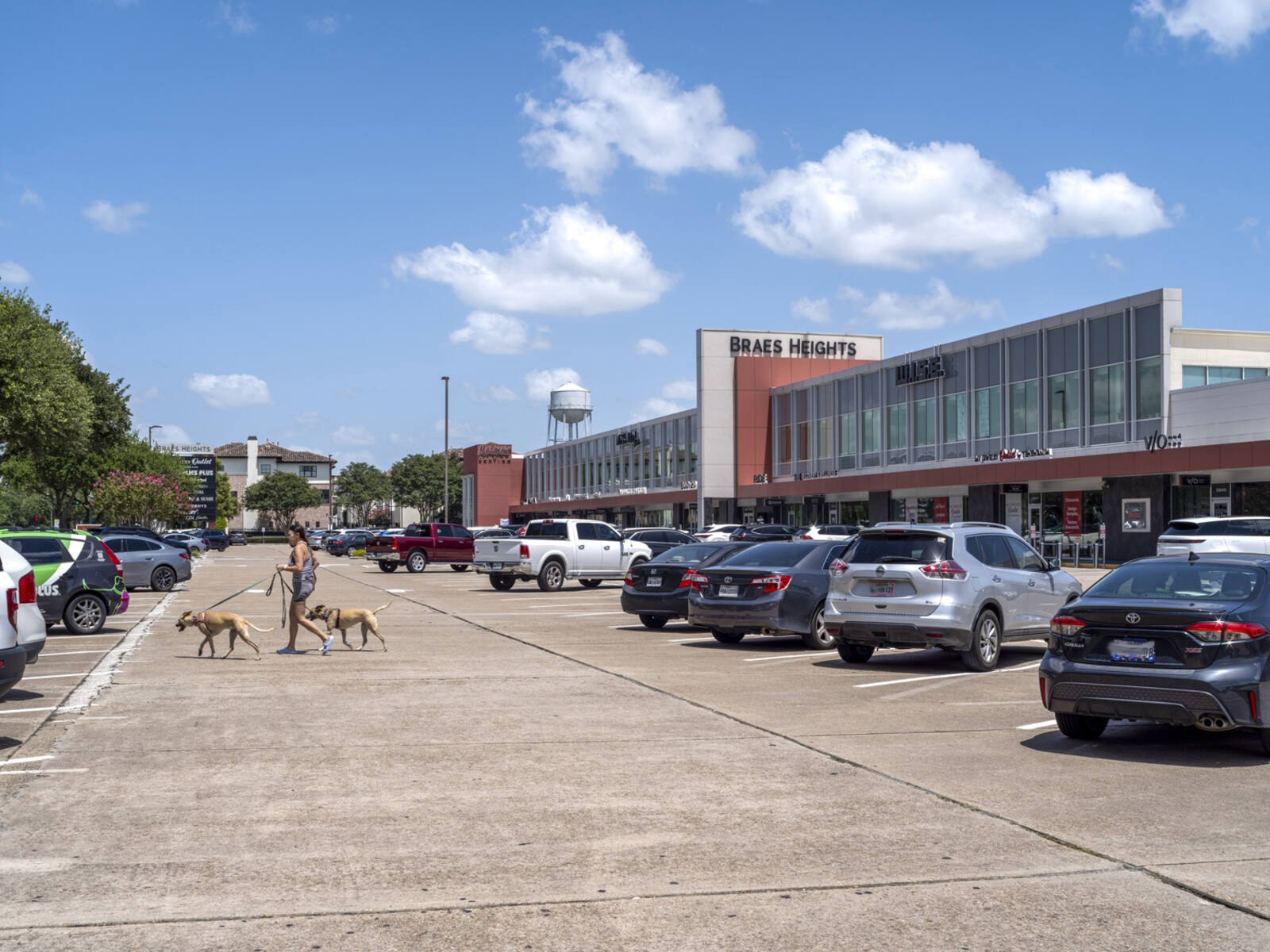 Woman with 2 dogs crosses parking lot at Braes Heights shopping center.