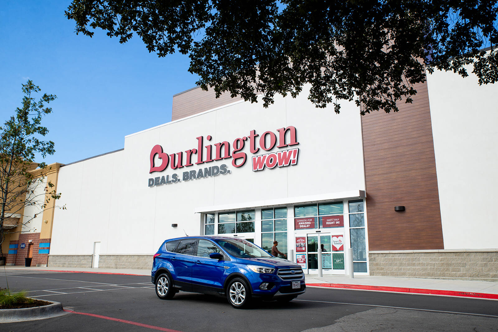 Burlington with large tree in foreground and blue car.