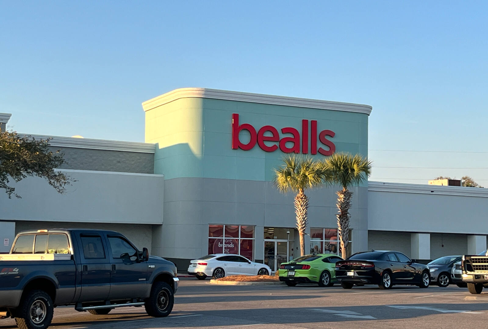 Bealls store with palm trees and parking lot in front.