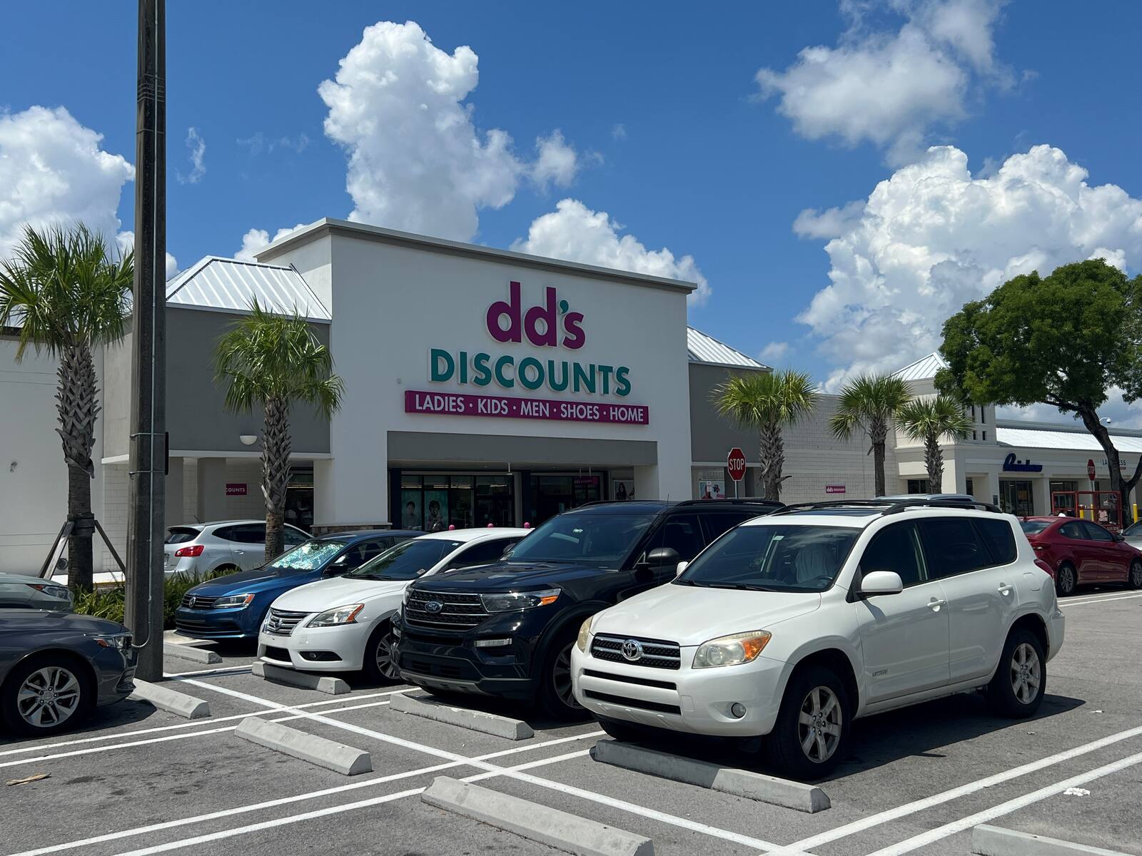 Palm trees and cars in a busy dd's Discounts parking lot.