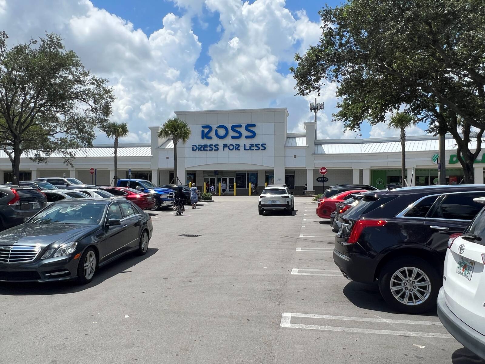 Trees and palm trees surround the parking lot of Ross Dress for Less store.