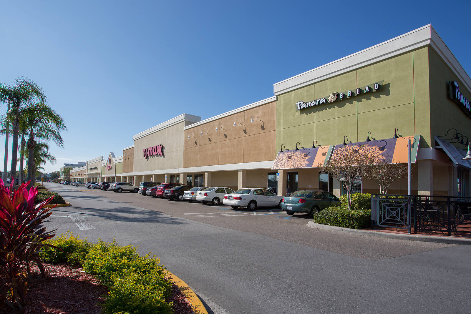 Flowers and palm trees on the other side of the entrance of Panera 