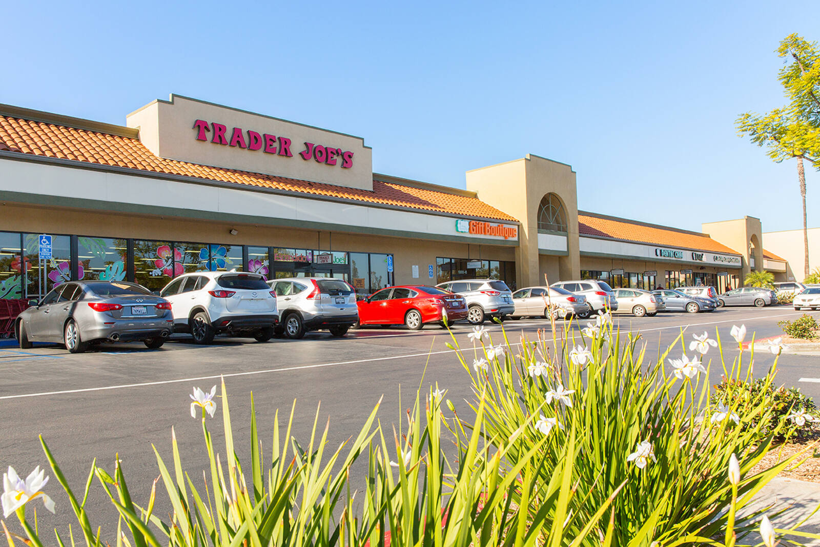 Trader Joe's with busy parking lot at Felicita Town Center.