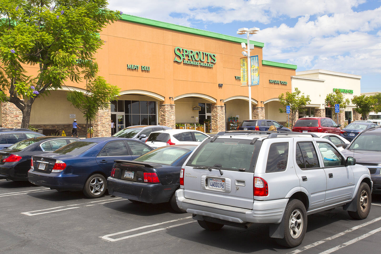 Full parking lot and a tree on the left at the entrance of Sprouts