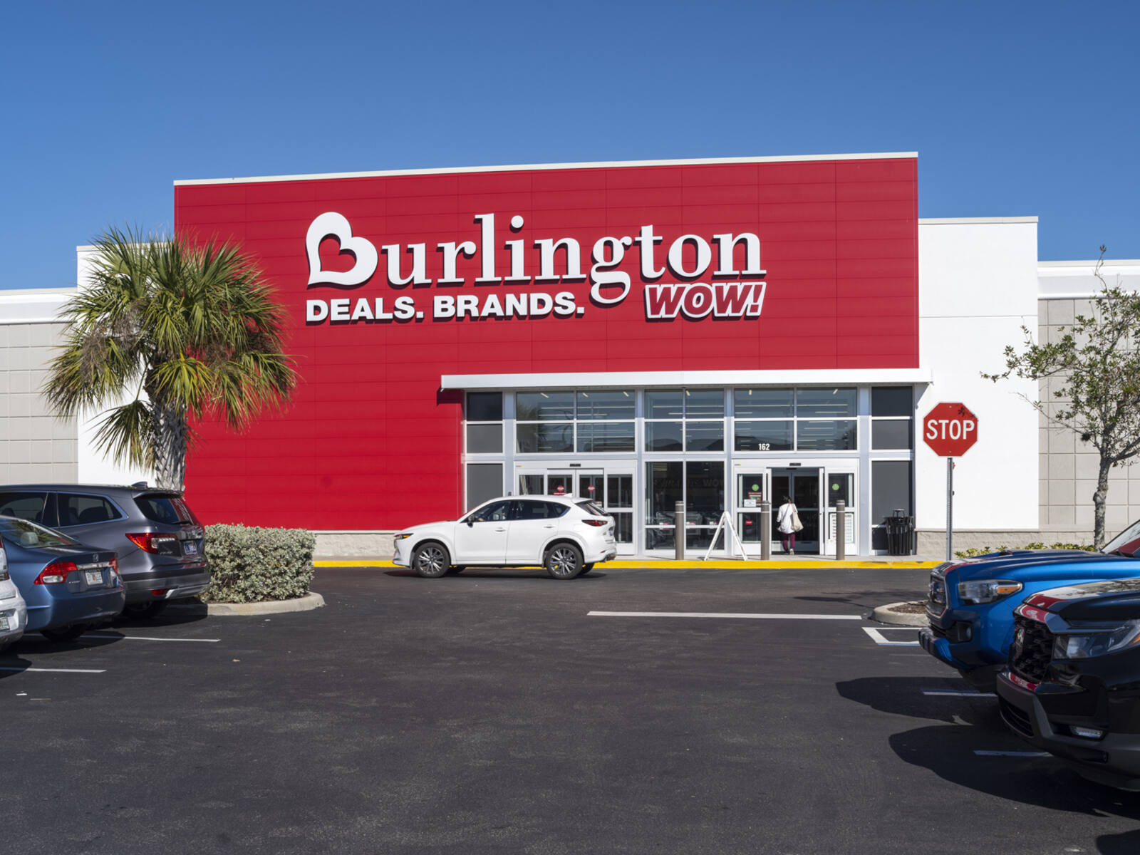 Palm trees and aisles of parked cars in front of Burlington store.