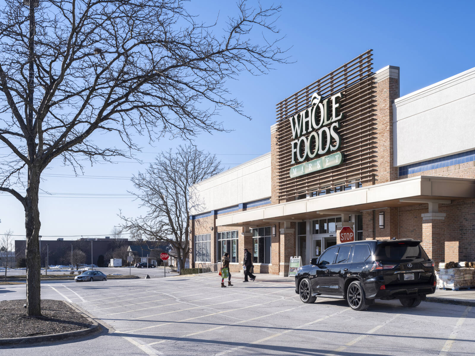 Black SUV parked in front of Whole Foods Market entrance at Ravinia Plaza shopping center
