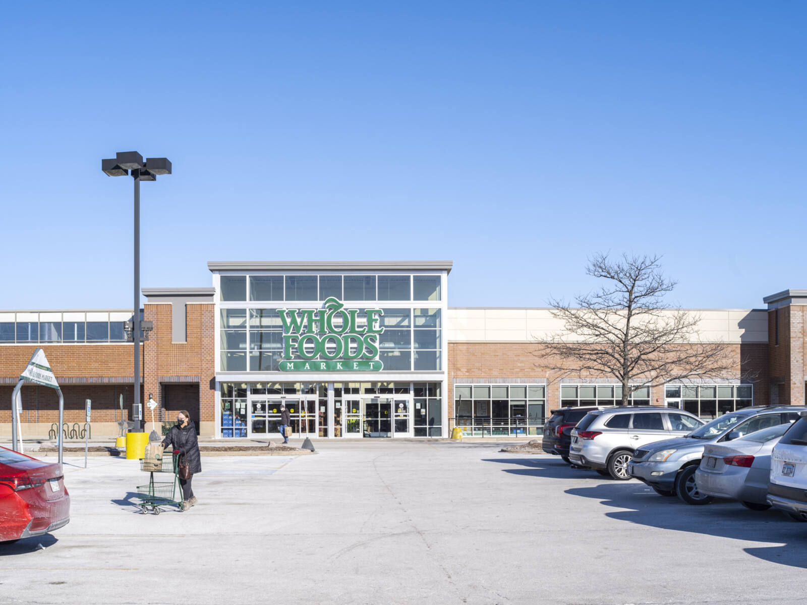 Customer and lined cars in parking lot of Whole Foods Market.
