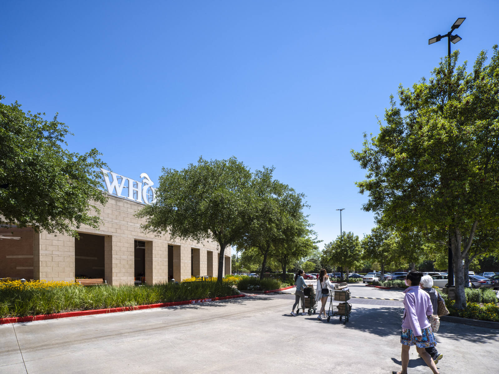Pedestrians crossing to Whole Foods Market at a tree-lined center.