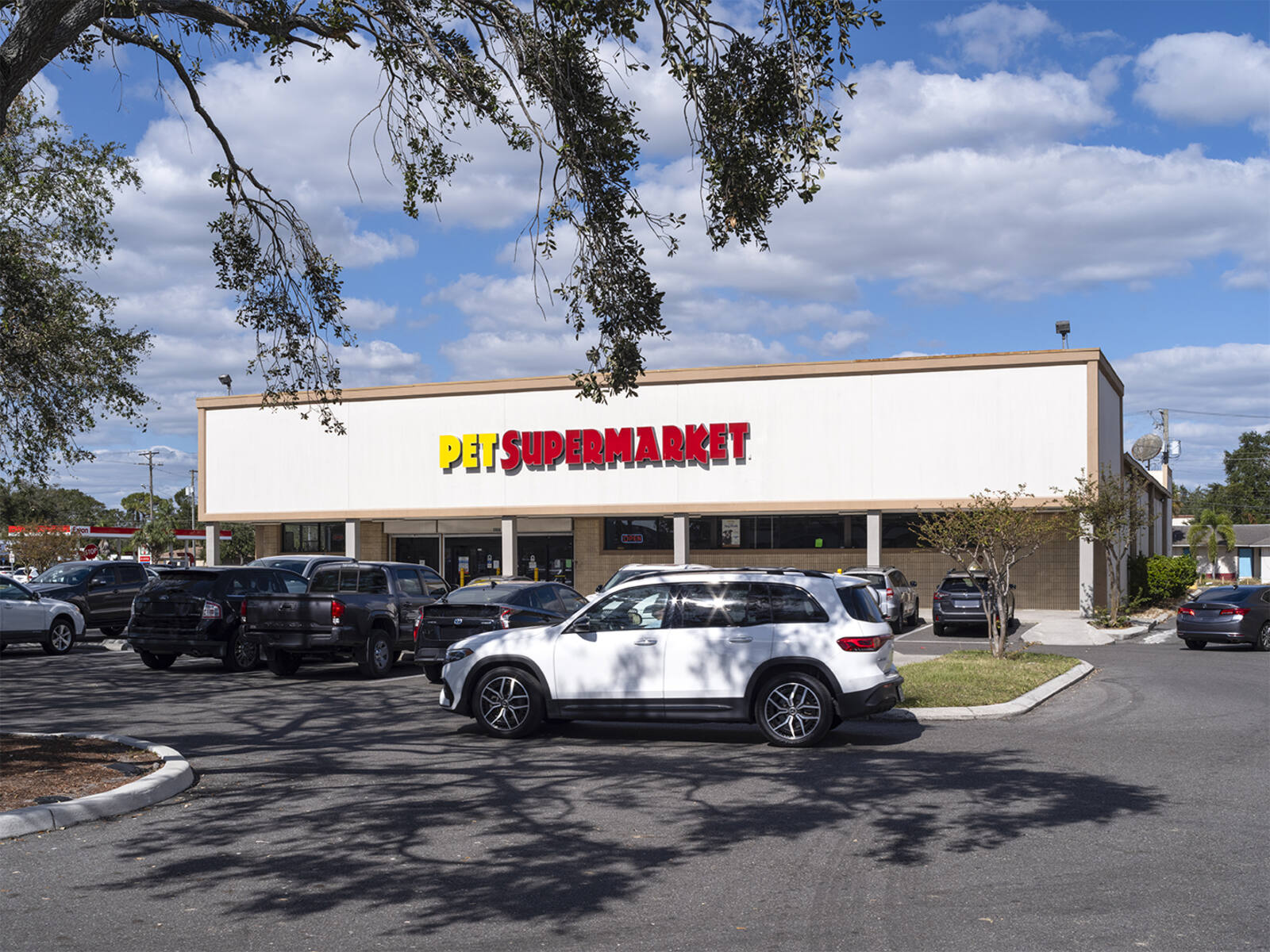 Pet Supermarket with white SUV and tree in front.