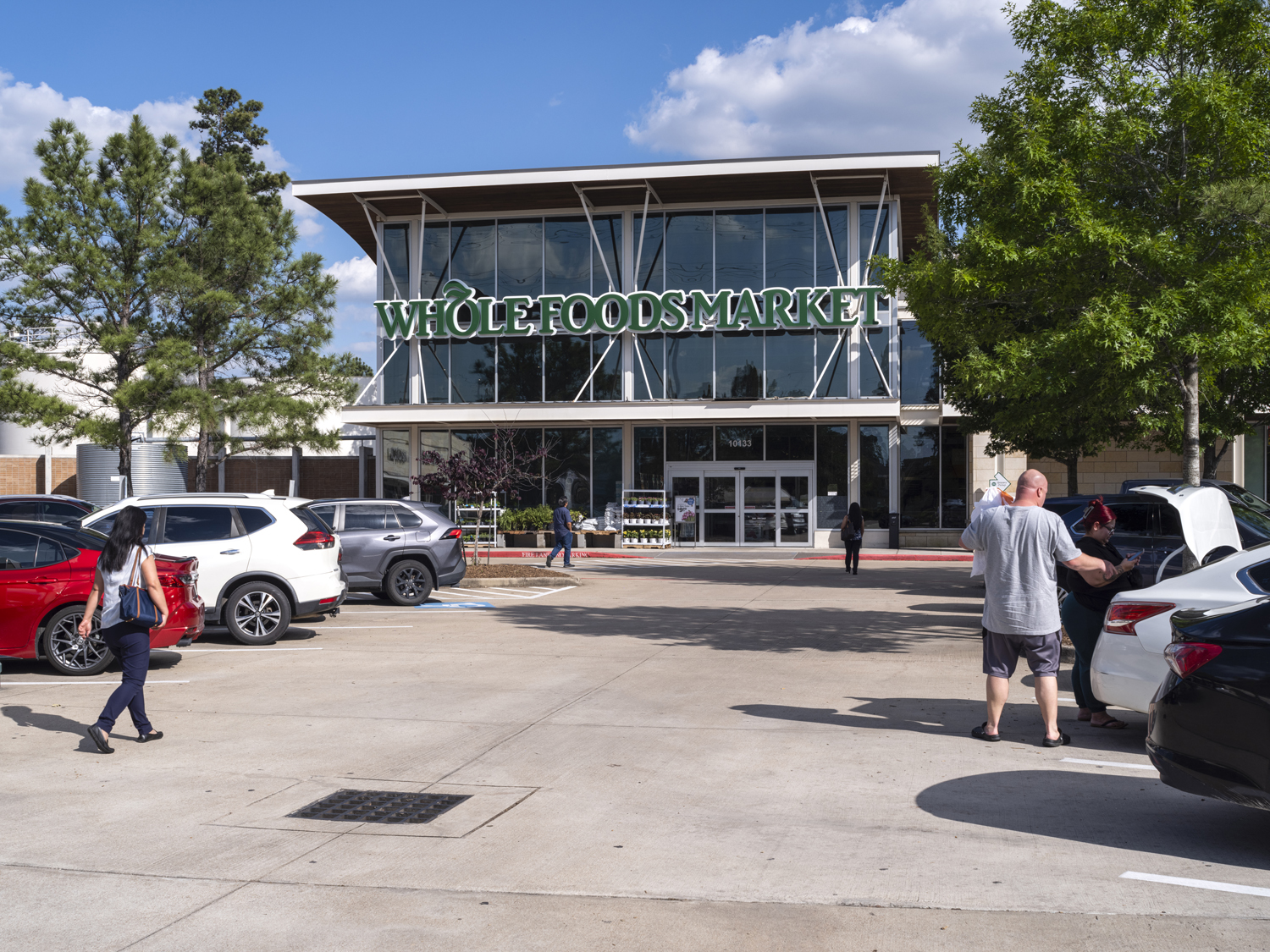 Whole Foods Market with trees on left and right sides of parking lot with shoppers and cars.