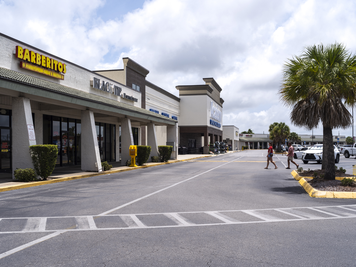 Customer under palm tree approach shops at Stanford Station Shopping Center.