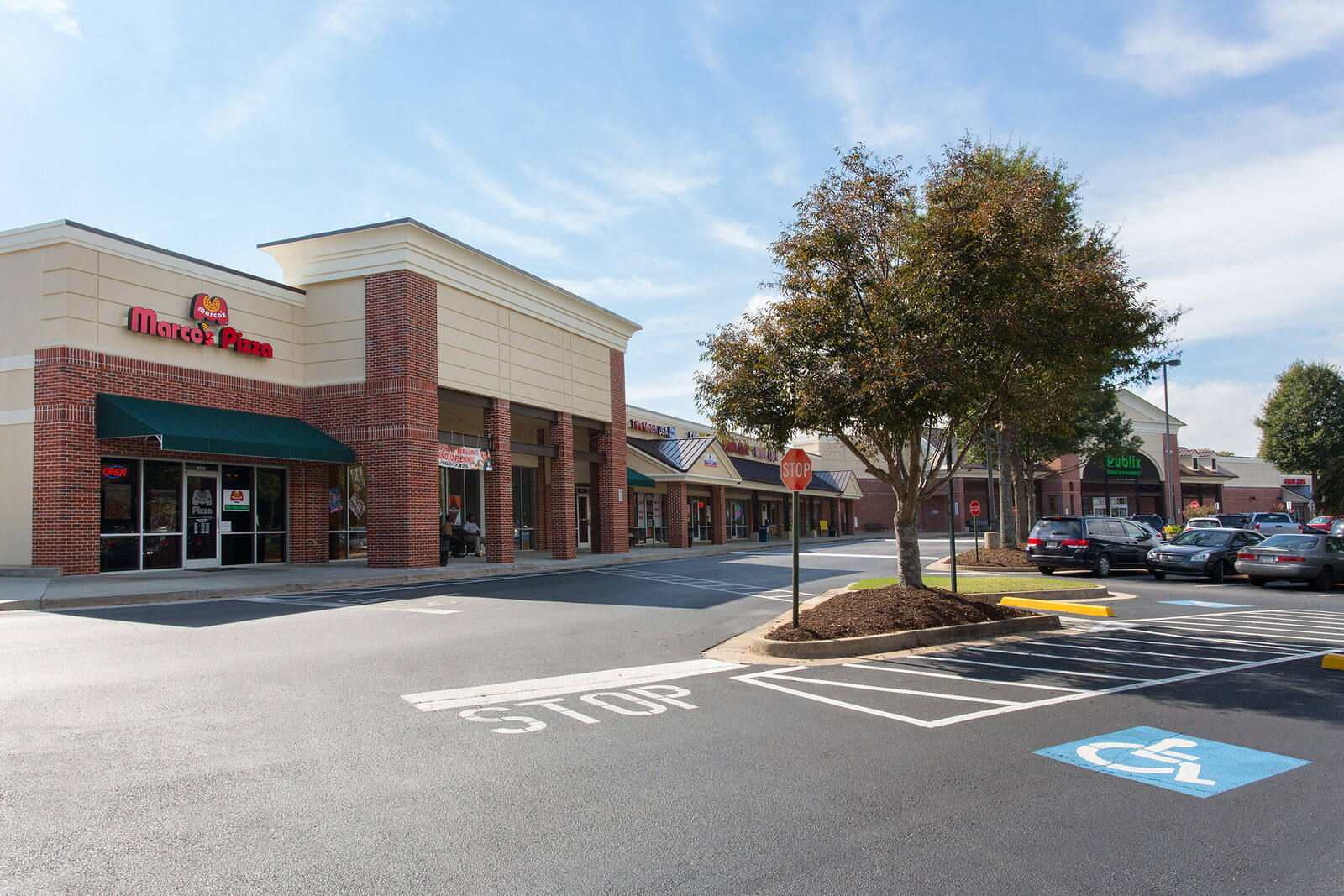 Tree across from Marco's Pizza in parking lot