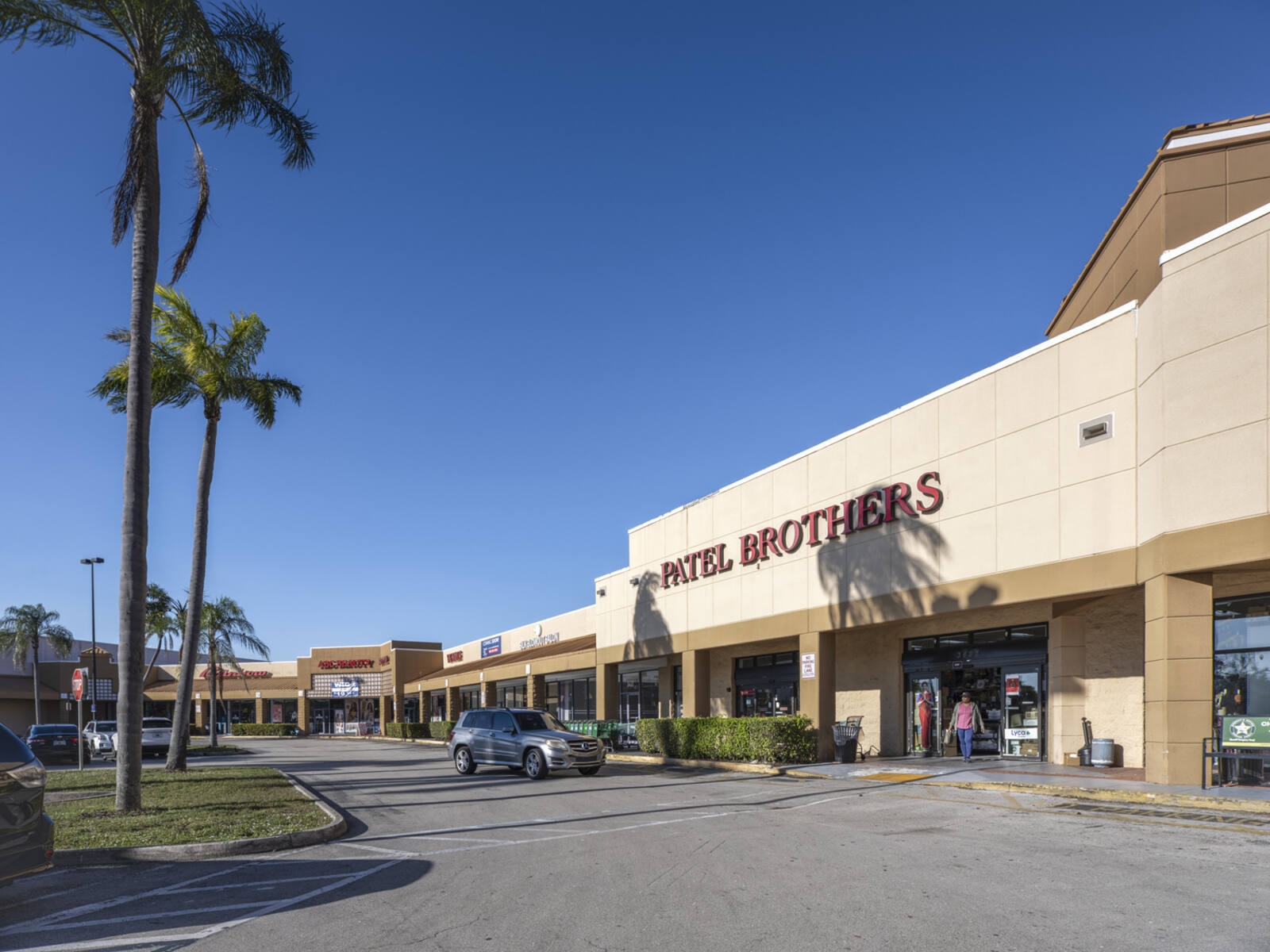 Palm trees and busy parking lot in front of Patel Brothers supermarket.