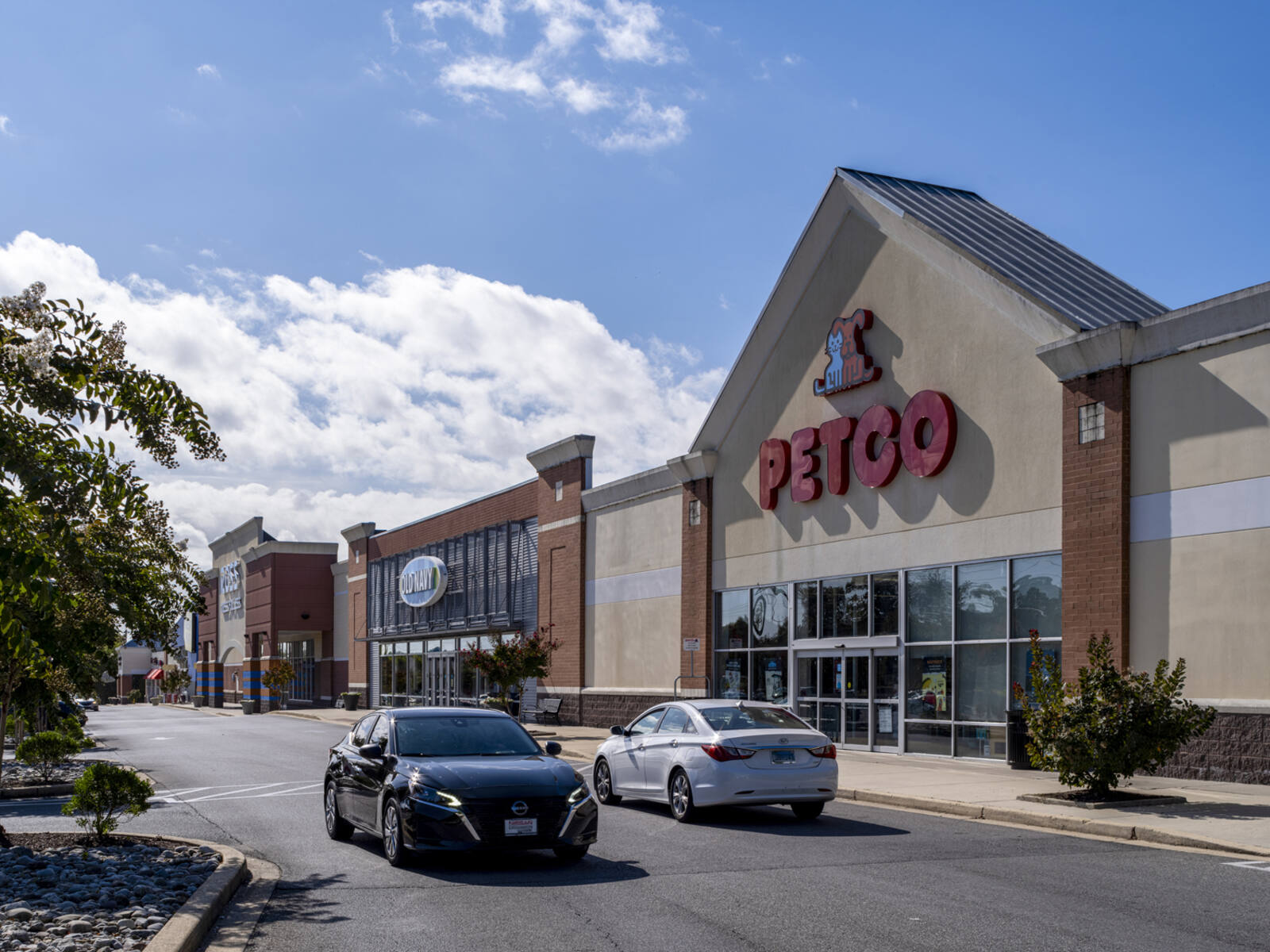 2 cars ride by Petco at South Plaza Shopping Center.