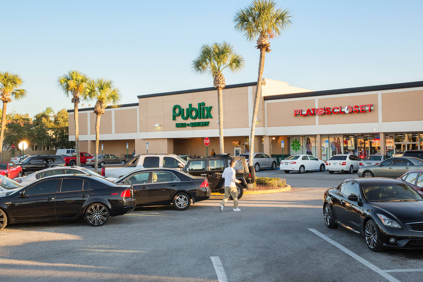 Palm tree adorned parking lot at Publix supermarket in Tampa, FL.