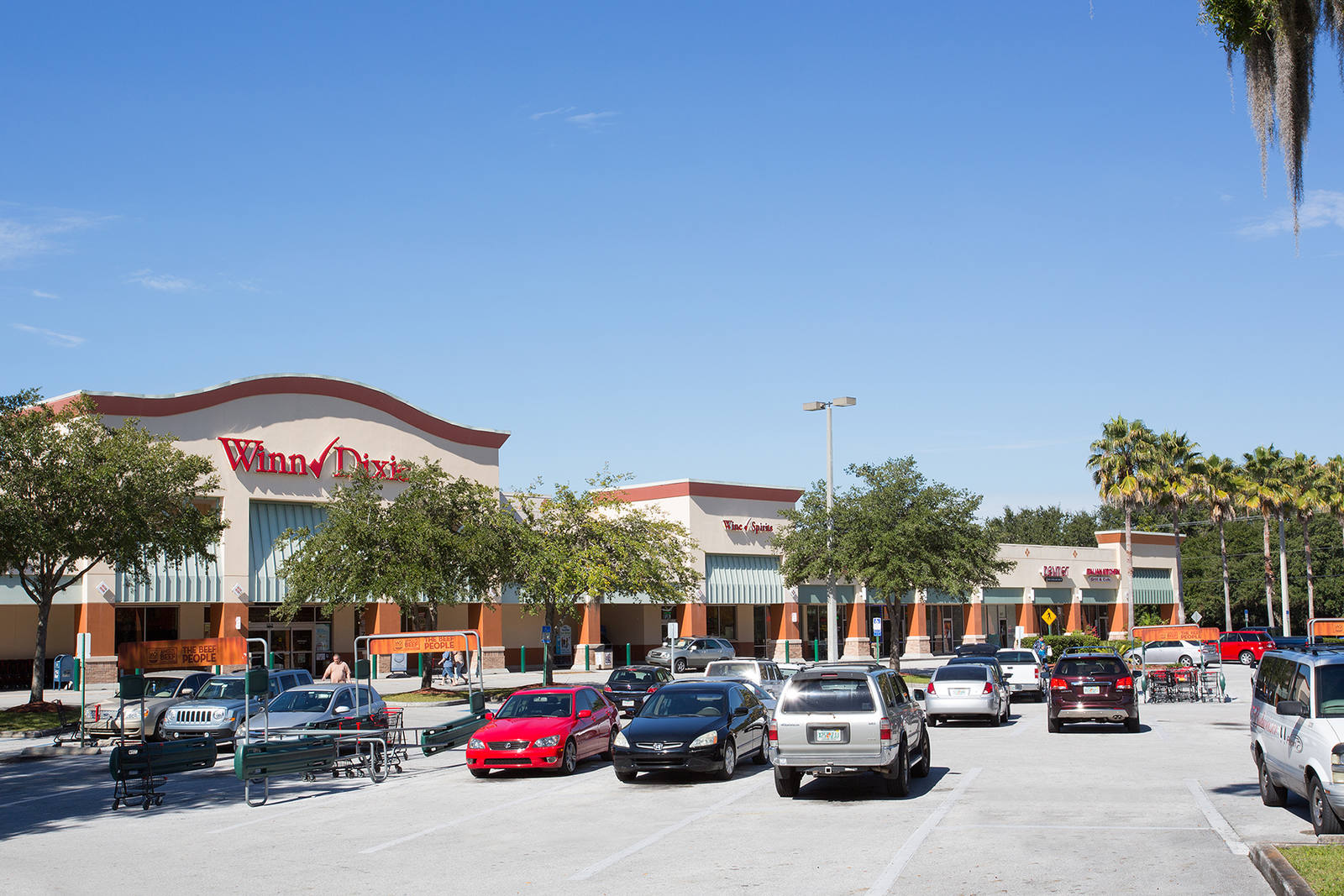 Winn Dixie supermarket with busy parking lot with trees and palm trees.