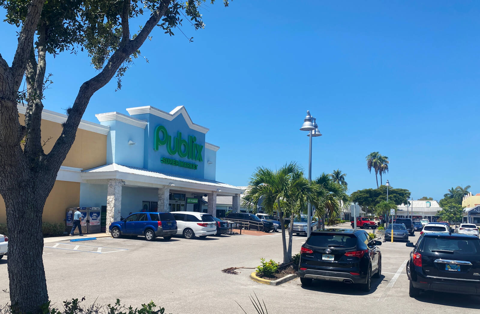 Publix supermarket with palm trees in parking lot and large tree in foreground.