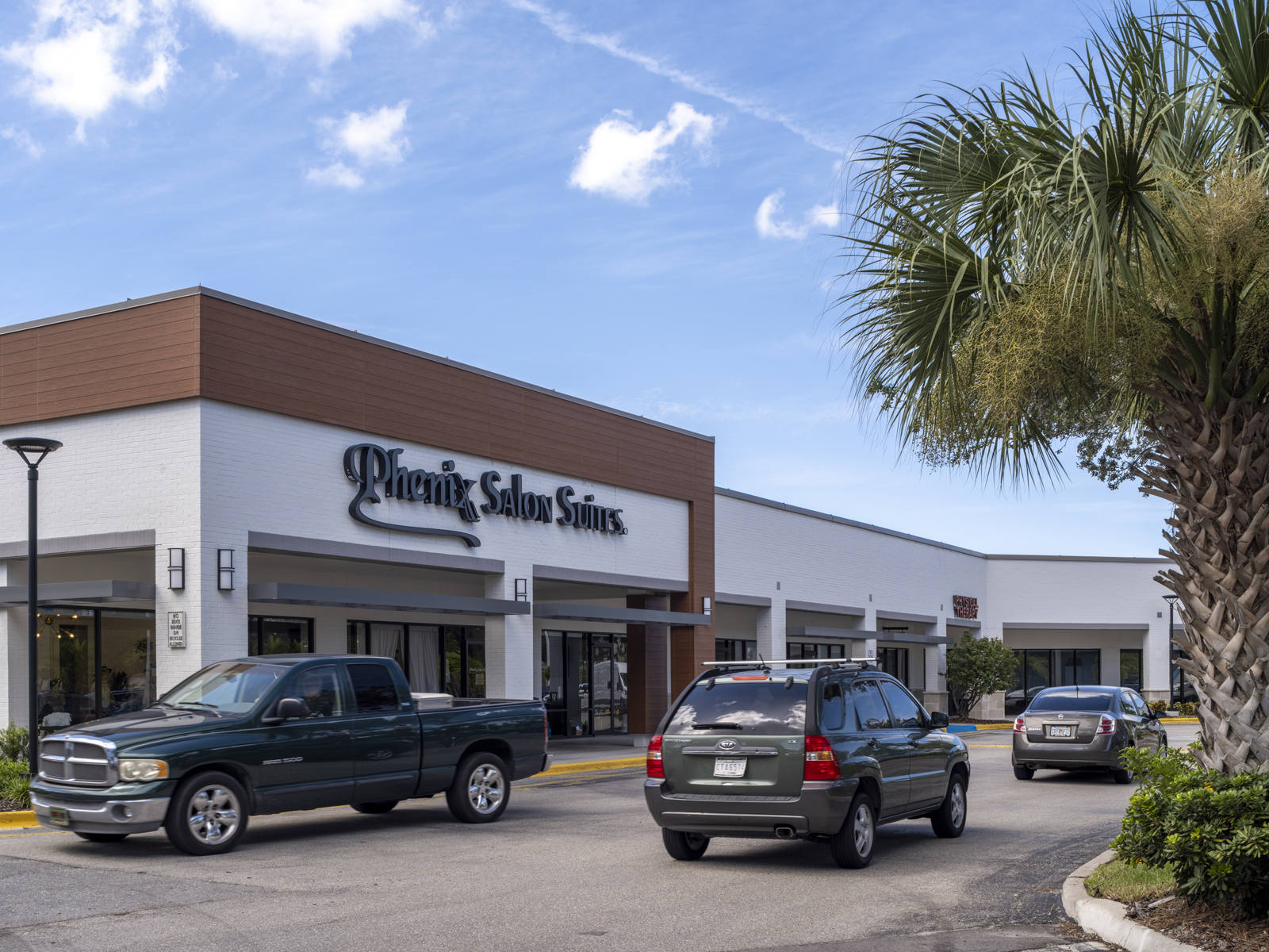 A palm tree and cars on a road in front of Phenix Salon in Sarasota, FL.