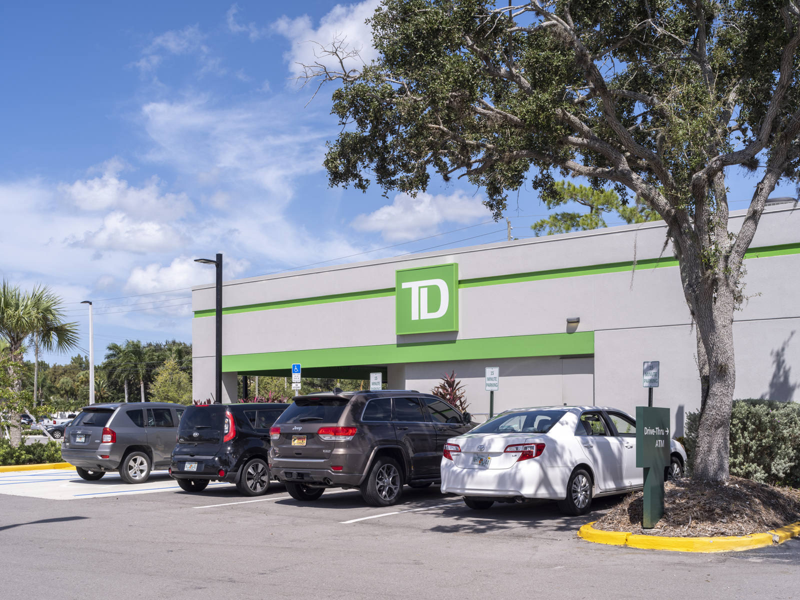 A tree and a full parking lot at TD Bank in Sarasota, FL.
