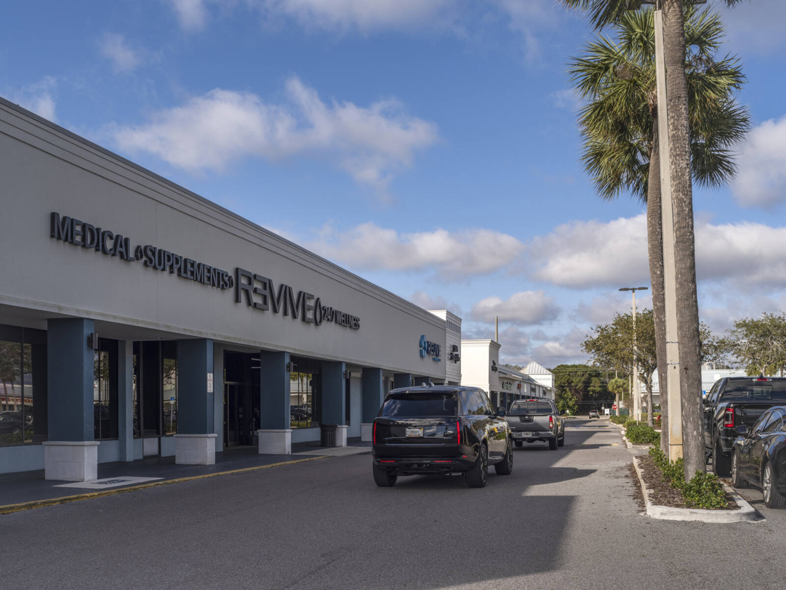 Revive store with palm trees on right of access road.