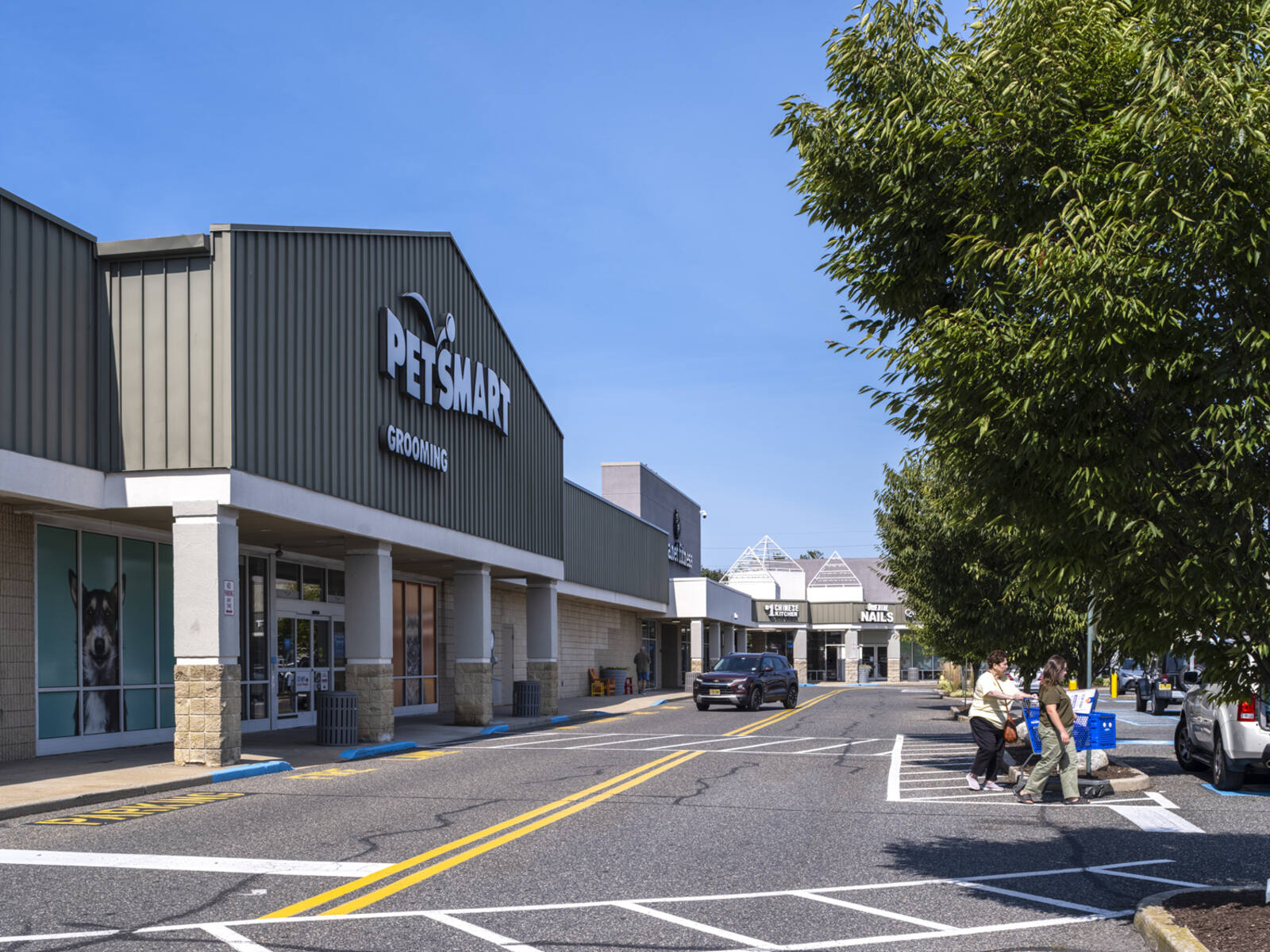 Group leaving Petsmart into tree-lined parking lot.