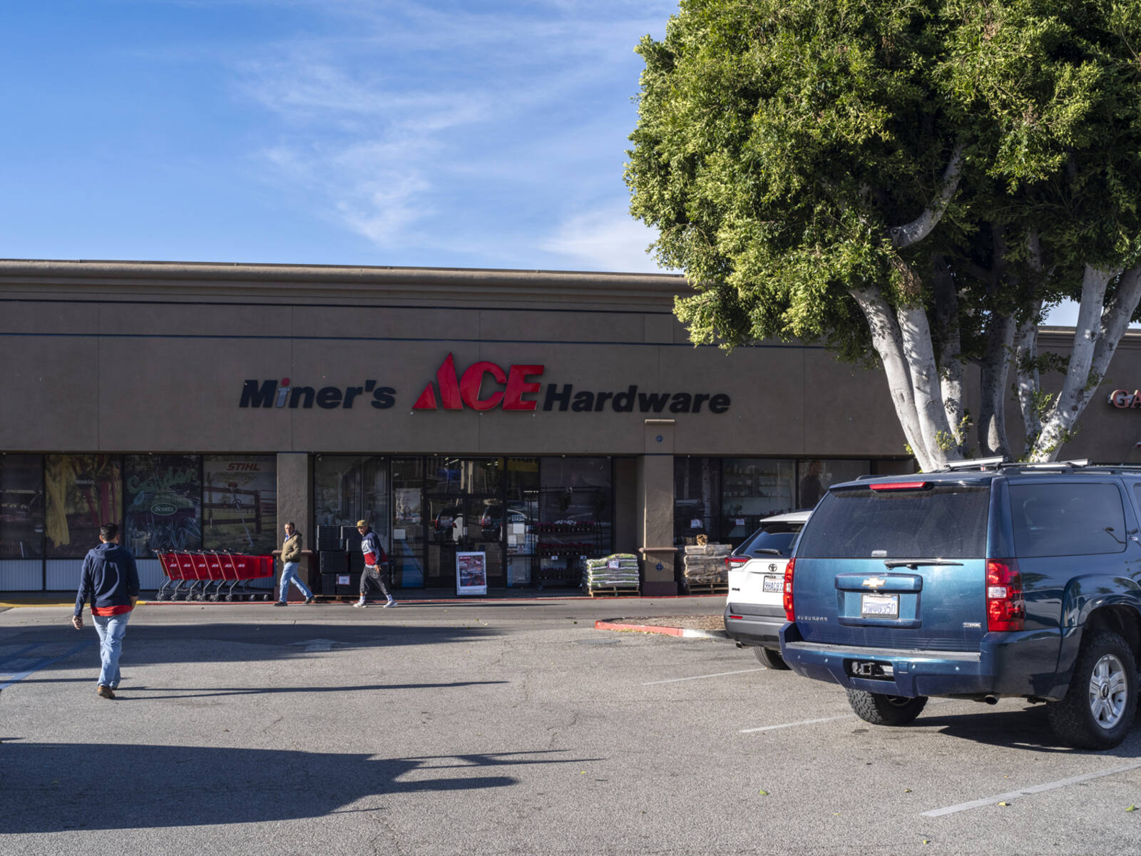 Ace hardware with pedestrians, tree and parked cars at storefront. 