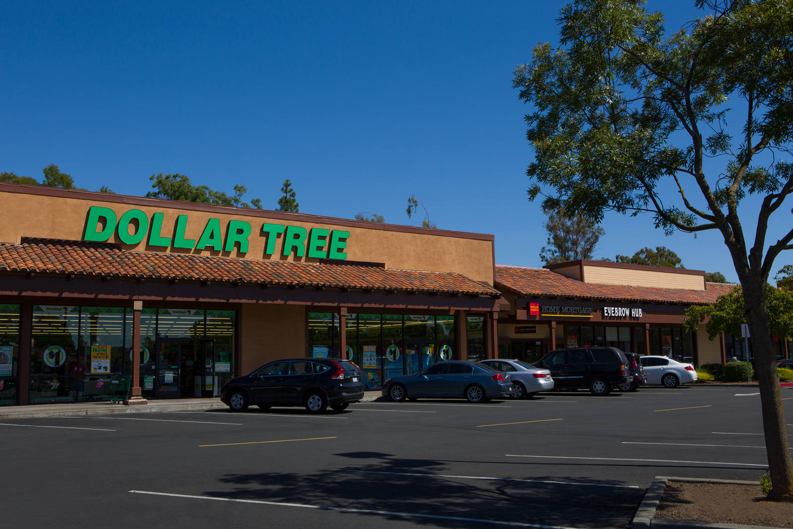 Tree on the right side across from the entrance of Dollar Tree