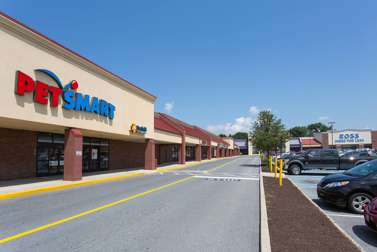 Petsmart pet supplies and Ross Dress for Less department store at Whitehall Square.