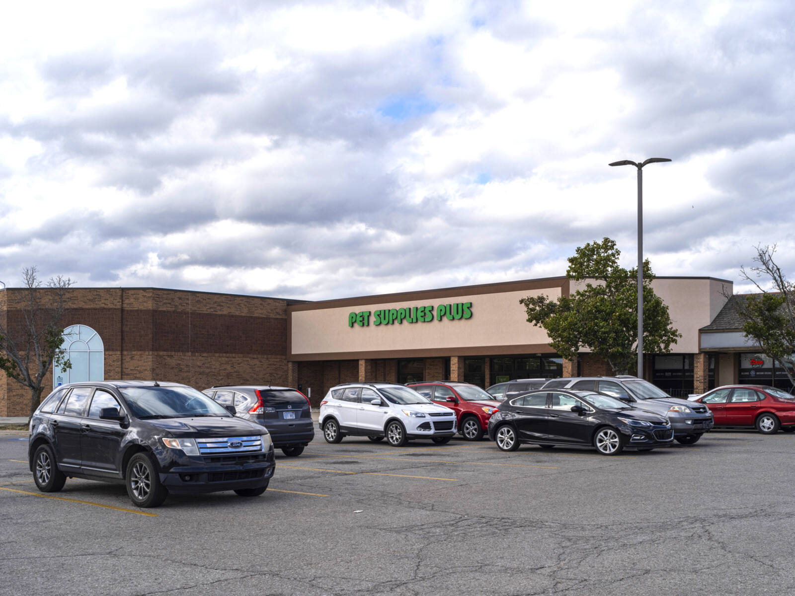 Parking lot with trees and Pet Supplies Plus in background.