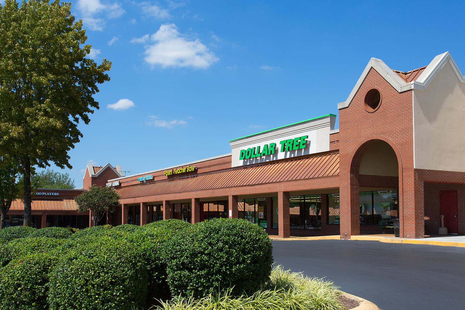 Shrubs and trees in front of Dollar Tree in Franklin, TN.