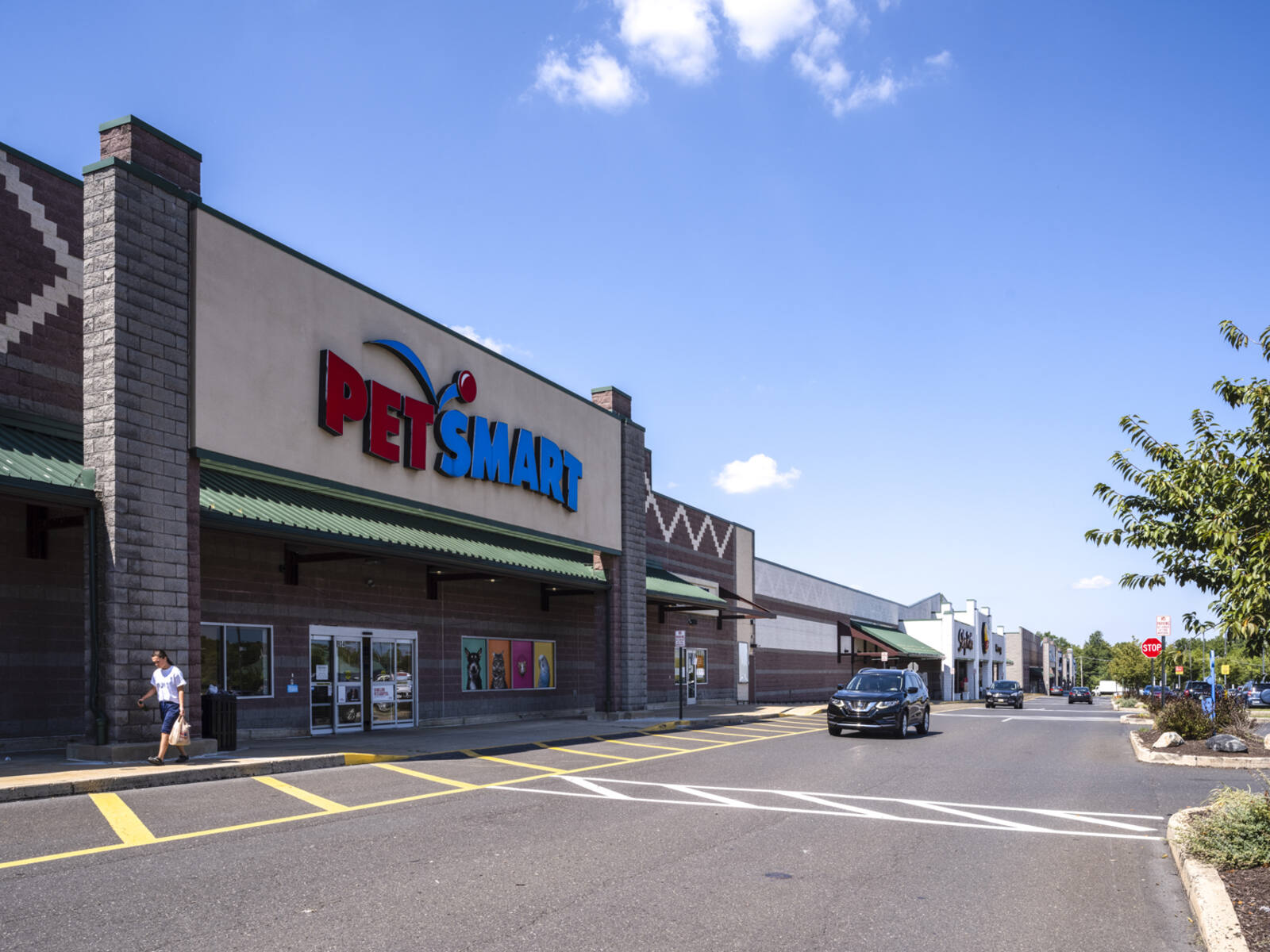 PetSmart and road with incoming cars in distance.