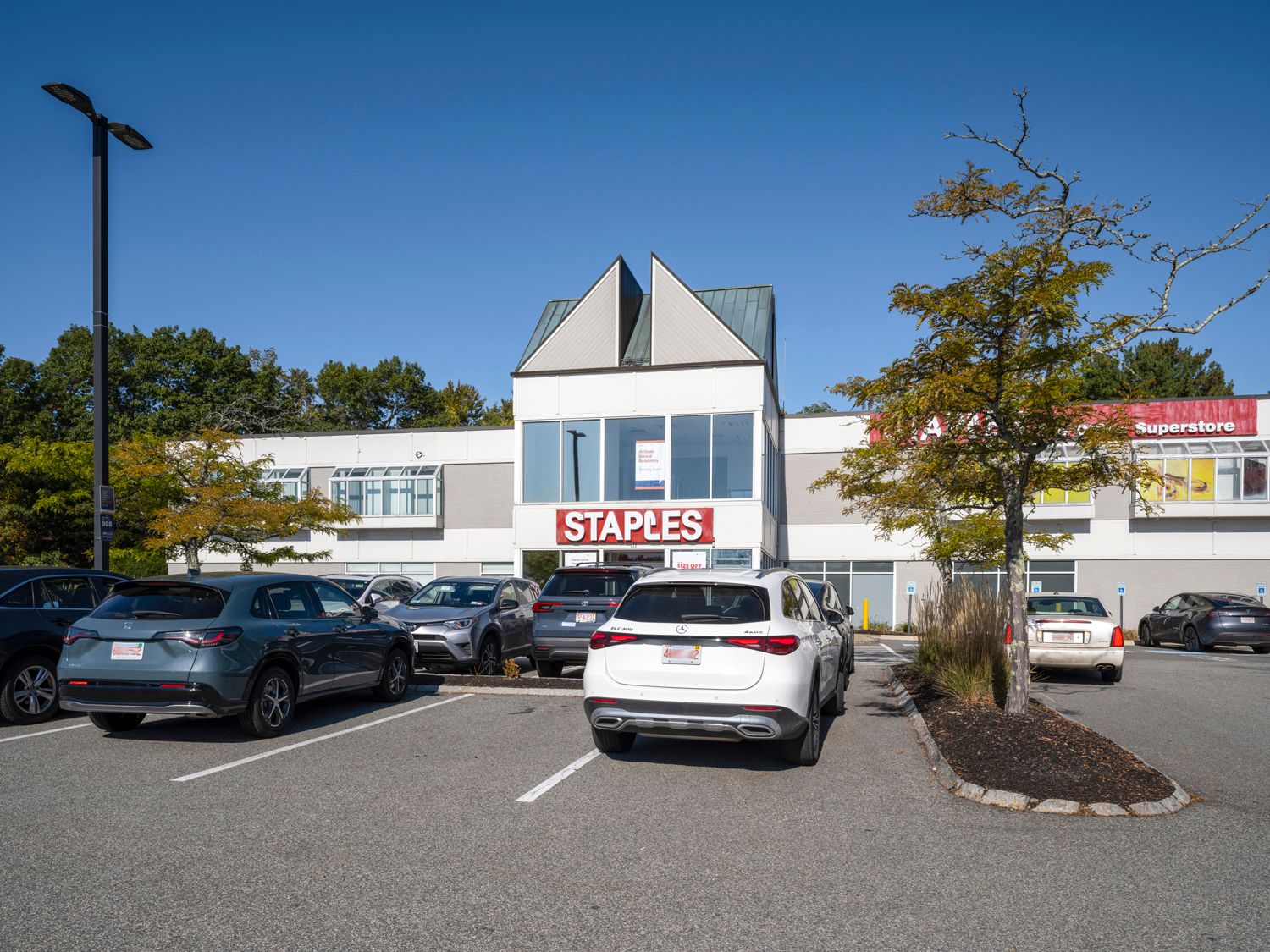 Trees and cars in parking lot for Staples.