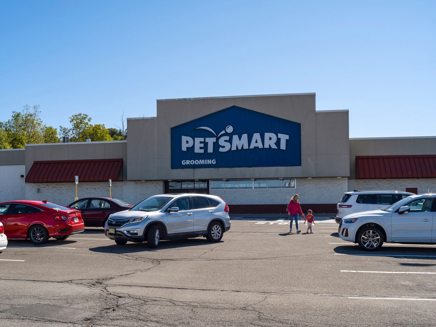 Cars pulling in and out of PetSmart lot