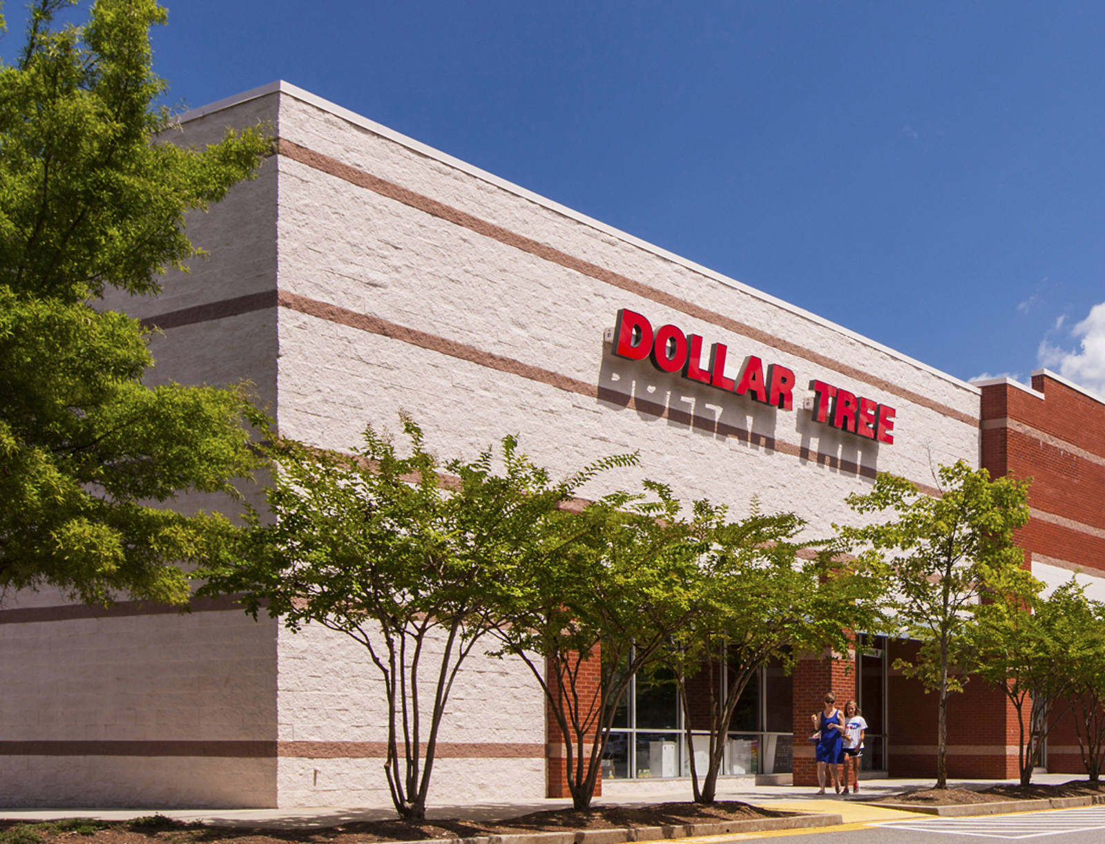 Rows of trees in front of Dollar Tree at Devonshire Place.