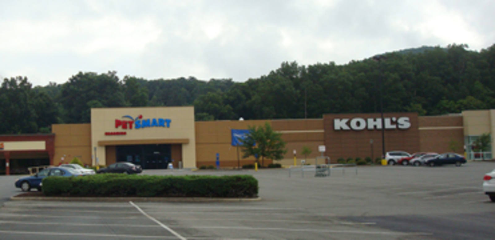 PetSmart and Kohl's at Hunting Hills.