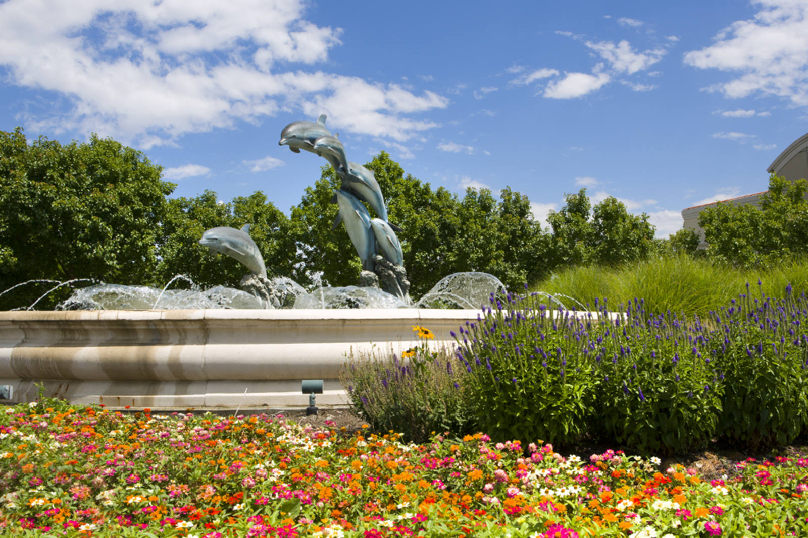 Row of colorful flowers in front of water fountain with dolphin sculptures