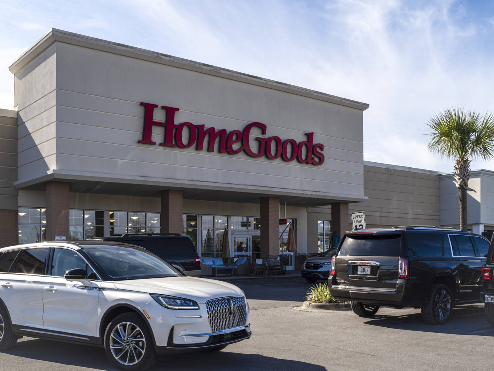White SUV turning in parking lot in front of HomeGoods store with palm tree.