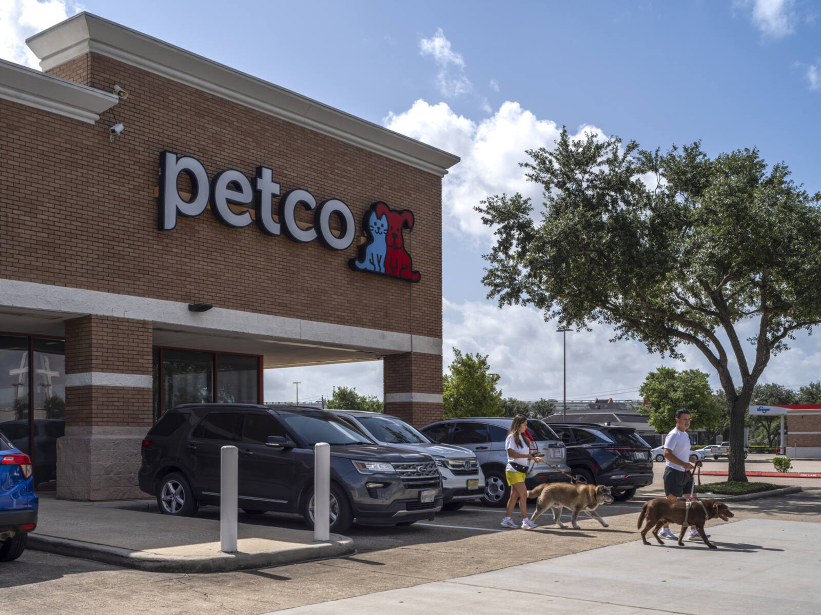 2 patrons with dogs in front of parking lot at Petco.