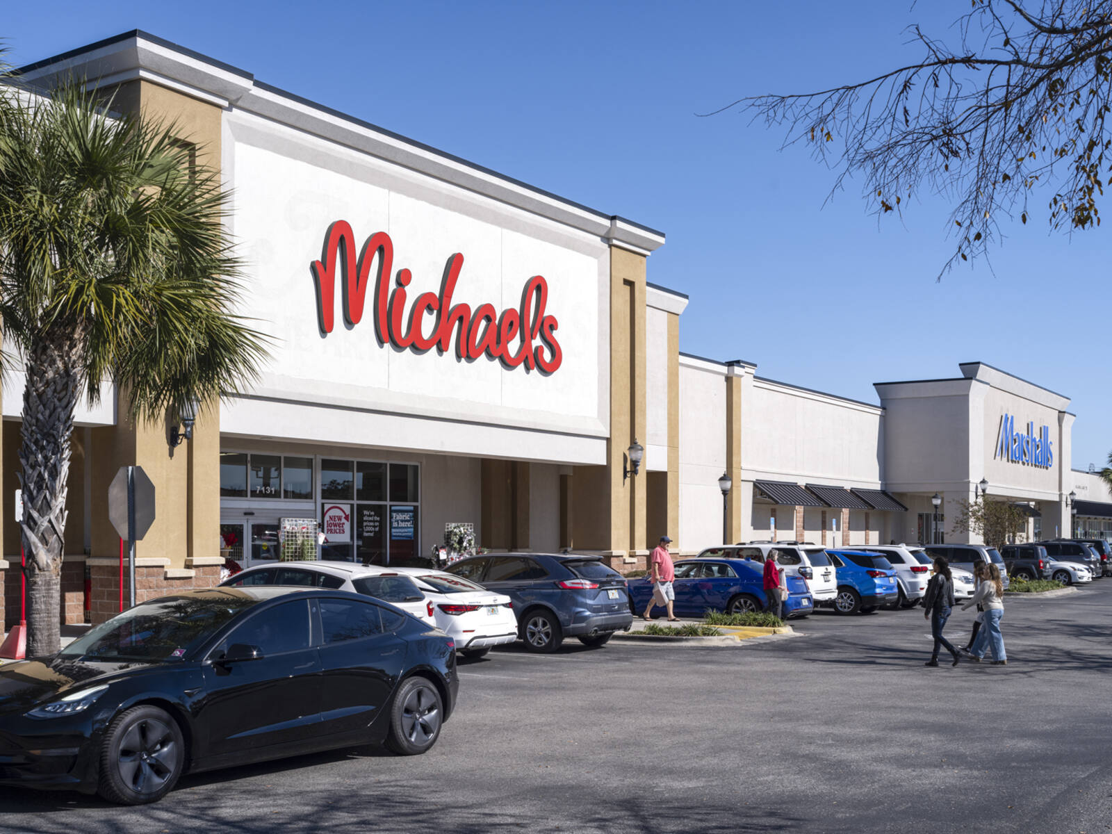 Palm trees and parked cars line front of Michaels and Marshalls stores.